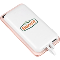 10.000 mAh Powerbank-6